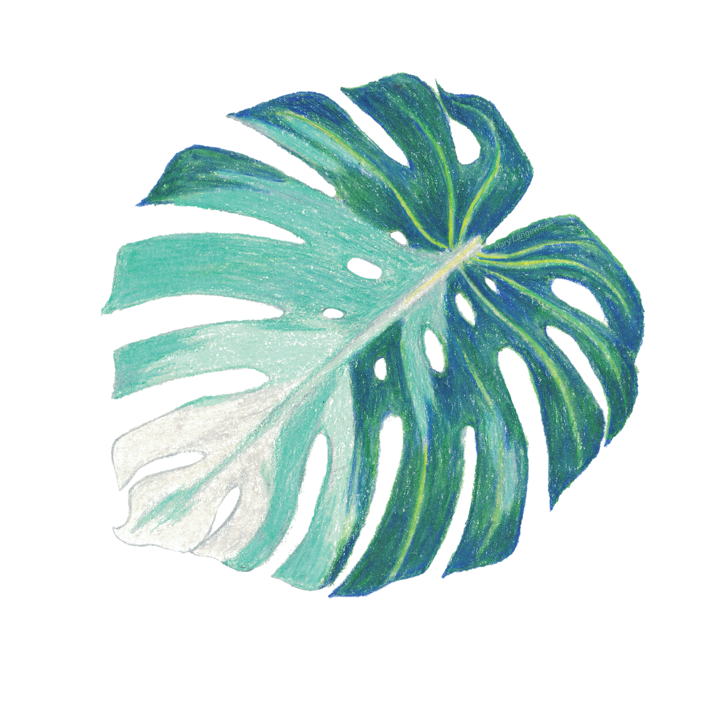 Sticker - Monstera Albo Variegata